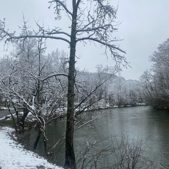 Meet your Posher, Brittney - Picture 3 of 16